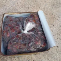 خرما و نمک|خوردنی و آشامیدنی|اهرم, |دیوار