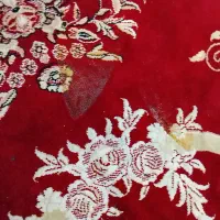 فروش فوری فرش|فرش|اقبالیه, |دیوار