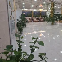 تبلیغات اینستا کسب کار