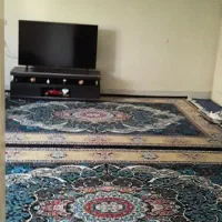 اجاره آپارتمان ۵۵ متری