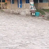 گمشده