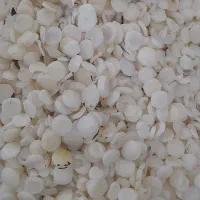 محصولات ارگانیک بشتابید نارگیل شوید پیاز روغن