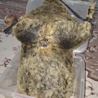 هیزه|ظروف نگهدارنده، پلاستیکی، یک‌بارمصرف|کوهدشت, |دیوار