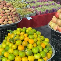 نیروی کار برای جابجایی بار در میوه فروشی