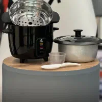 پلوپز بگسی