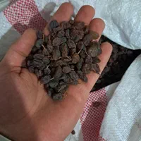 فروش کشمش عمده|عمده‌فروشی|اراک, |دیوار