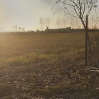 زمین باغی با  انشعابات نزدیک