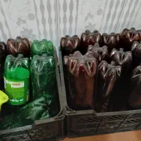جای دلستر