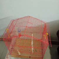 قفس پرنده|لوازم جانبی حیوانات|پردیس, فاز ۳|دیوار