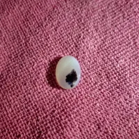 نگین انگشتر شجر|جواهرات|شهریار, شهریار|دیوار