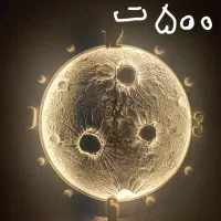 دکوری هایی که فضا رو لاکچری میکنن