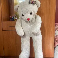 عروسک خرس|اسباببازی|شیراز, بعثت|دیوار