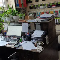 منشی خانم مسلط به اکسل