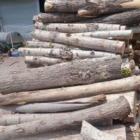 خریدار چوب تر و خشک