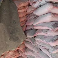 مصالح ساختمانی فضلی|عمدهفروشی|یاسوج, |دیوار