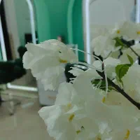 اجاره لاین در سالن زیبایی|اجارهٔ دفتر کار، اتاق اداری، مطب|شاهین‌شهر, مخابرات (شهید بهشتی)|دیوار