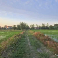 مزرعه ۱۷۰۰ متر قابلیت گلخانه گرمجان رودسر