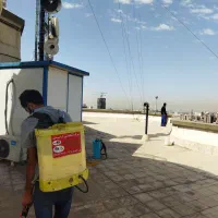 سمپاشی ساس موش سوسک منازل ویلا رستوران بدون بو