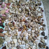 فروش تعدادی سنگ تزئینی|جواهرات|لاهیجان, انقلاب|دیوار