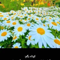 برگزاری مراسم ترحیم وروضه توسط خانم