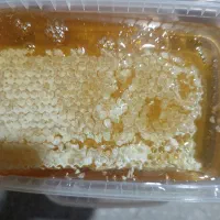 فروش عسل|خوردنی و آشامیدنی|تهران, آرژانتین|دیوار