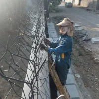 جوشکار ساده جهت ساخت حفاظ نیازمندیم