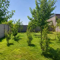 زمین-300-متری-در-واصفجان-پردیس