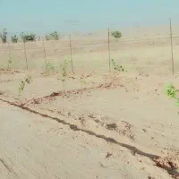 ۲۲هکتار زمین کشاورزی معاوضه خودرو