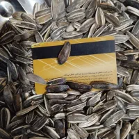 تخمه بذری سنقری