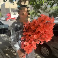 تولیدی شکوفه مصنوعی فروش ویژه درختچه مصنوعی|گل مصنوعی|تهران, پامنار|دیوار