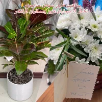 بازاریاب برای کلینیک دندانپزشکی|استخدام بازاریابی و فروش|کرمان, |دیوار