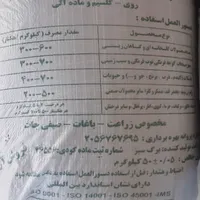 قالی دستباف|فرش|فولادشهر, بوستان خلیج فارس|دیوار