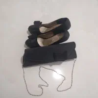 کیف و کفش مجلسی پاپیونی|کیف، کفش، کمربند|آبیک, |دیوار