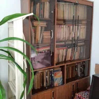 کتابخانه چوبی شیشه ای|کتابخانه، شلف، قفسه‌های دیواری|پردیس, فاز ۲|دیوار