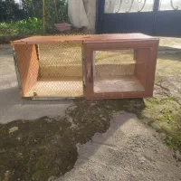 جفت گاه یا لانه و کبوتر