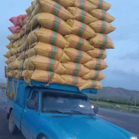 خریدوفروش کاه