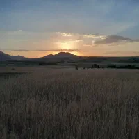 زمین