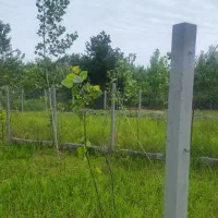 200متر زمین دریاسر|فروش زمین و ملک کلنگی|شلمان, |دیوار