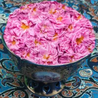 گلاب ناب