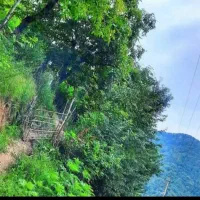 فروش خانه های روستایی جنگلی با تمام امتیازات کامل|فروش خانه و ویلا|اطاقور, |دیوار