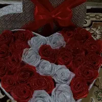 گل رز ربانی حجیم پرنسا0