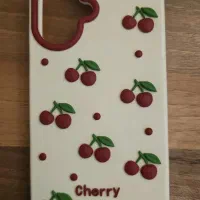 فروش دو قاب گوشی فانتزی و شفاف ایفون 16 نرمال