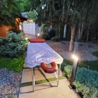 روغن های گیاهی ماساژ