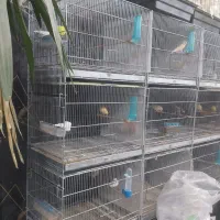 قفس هشت خان و دوازده خان غلامی اصلی