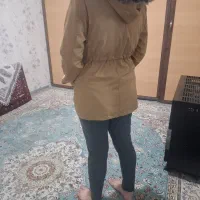 بارونی|لباس|بیجار, |دیوار