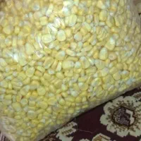 ذرت  دون شده