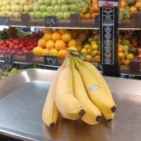 ترازوی ۵۰ کیلویی پرینتر دار محک مدل ۱۶۰۰۰