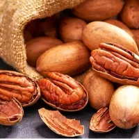 فروش نهال گردو پکان گردو گرمسیری آمریکایی|خدمات باغبانی و درختکاری|داراب, |دیوار