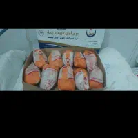 پخش مرغ منجمد بی واسطه،درب سردخانه|خوردنی و آشامیدنی|تهران, جوادیه|دیوار