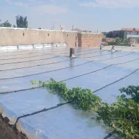 ایزوگام دلیجان|خدمات پیشه و مهارت|تاکستان, |دیوار